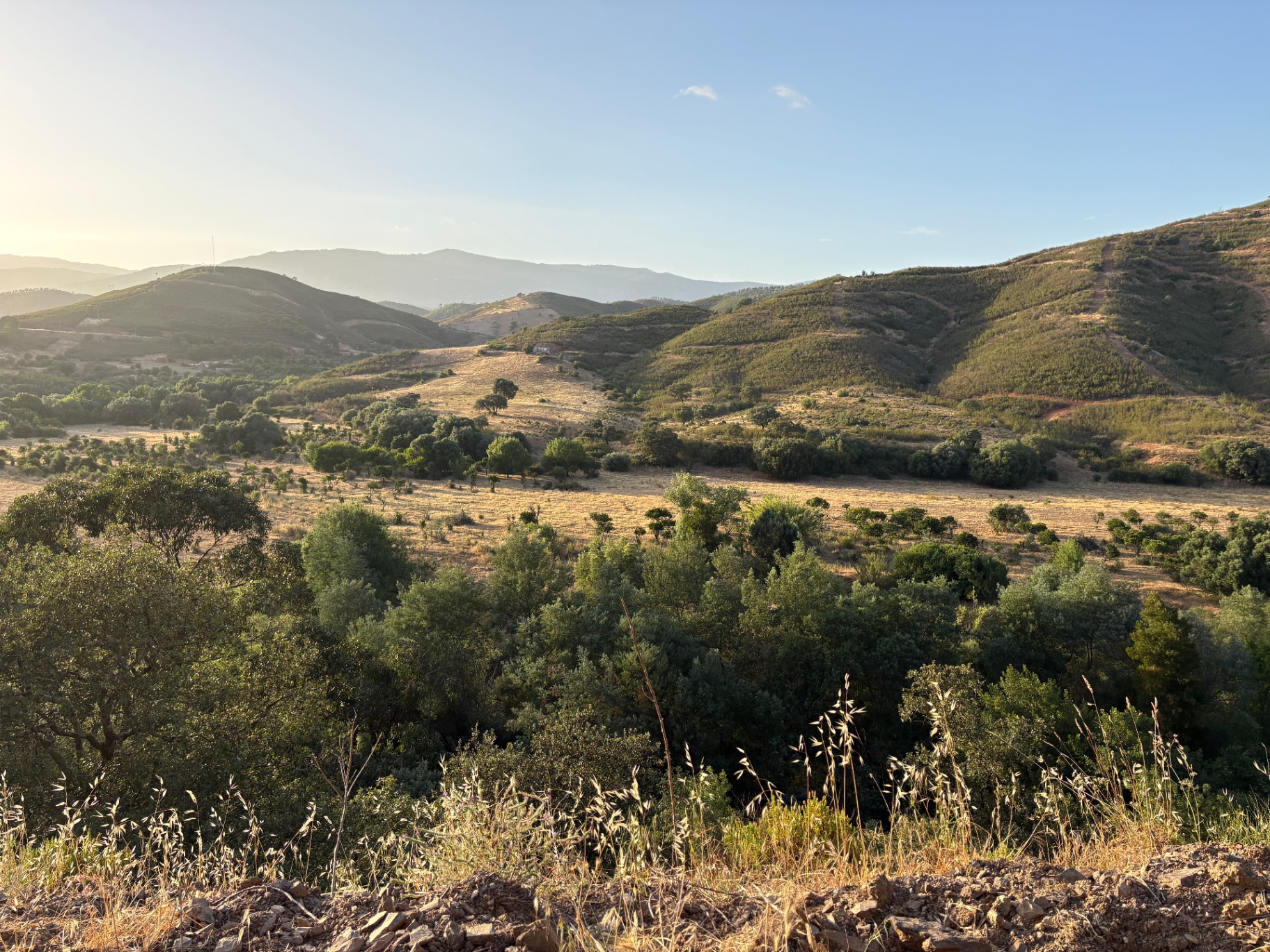 Sanfte Hügel und Weite der Serra de Monchique im Abendlicht