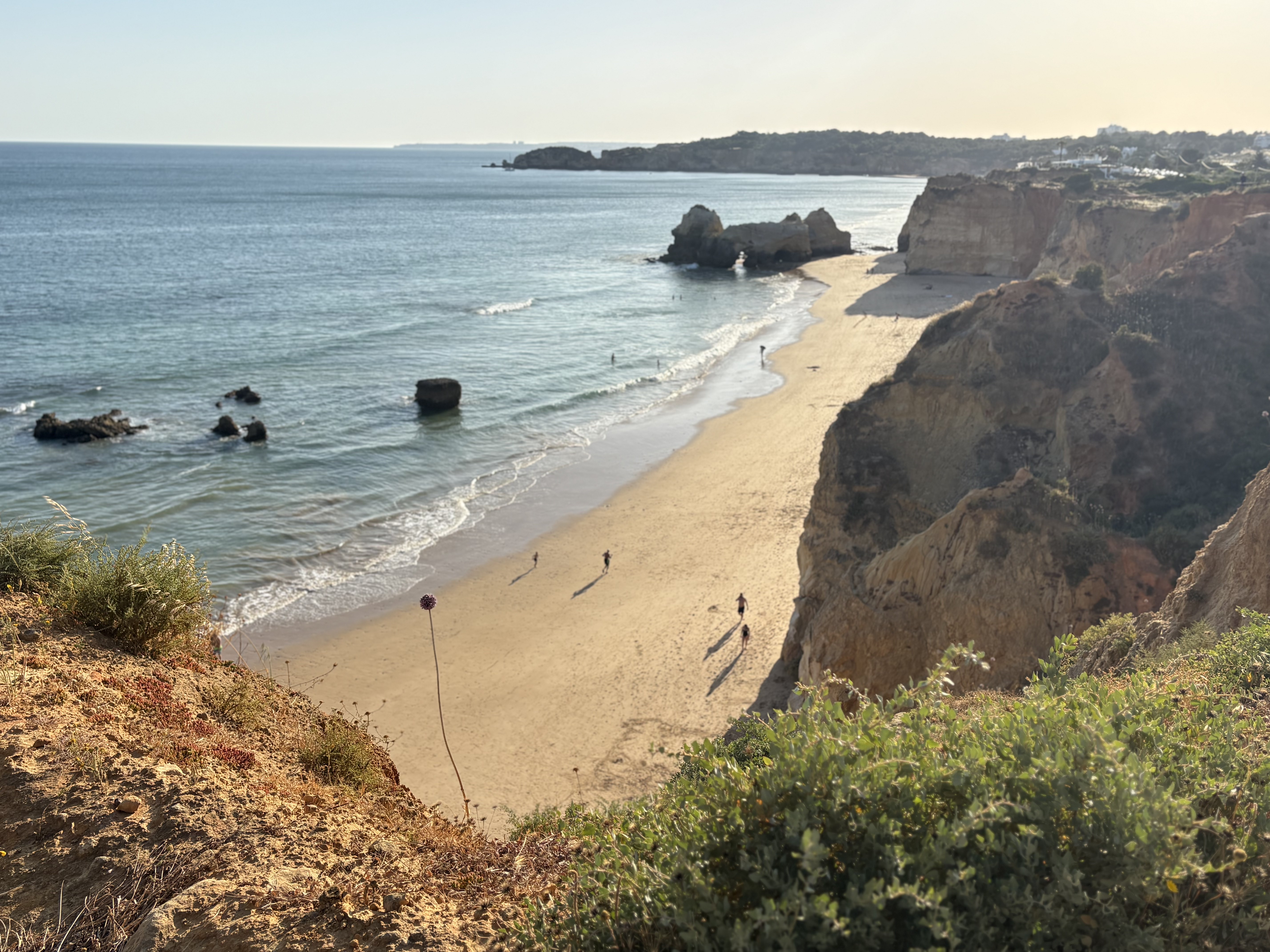 Algarve Küste bei Sonnenuntergang, Klippen und Meer